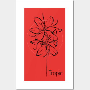 Tropical flower on red circle Posters and Art